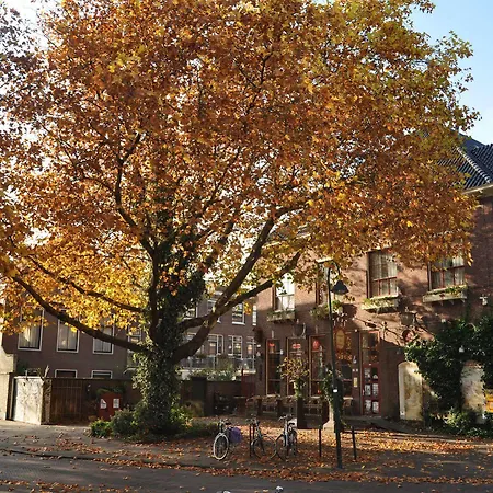 De Plataan Centrum 3* Delft