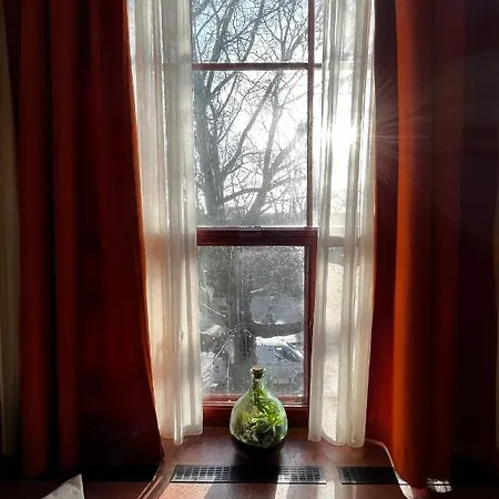 De Plataan Centrum Delft