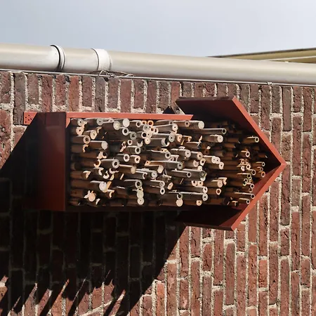 Szálloda De Plataan Centrum 3*