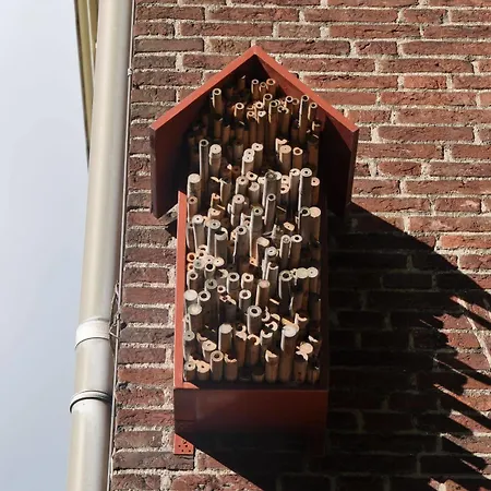 Hotel De Plataan Centrum Delft