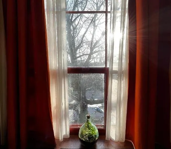 De Plataan Centrum Delft