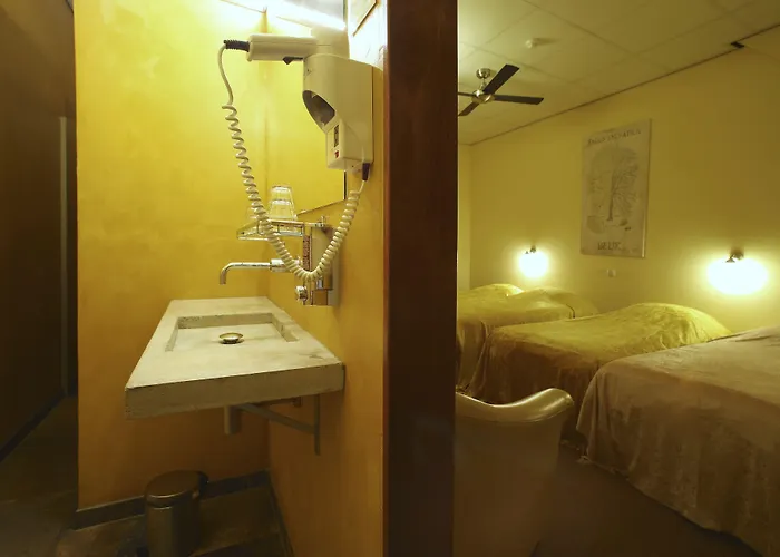 De Plataan Centrum Delft