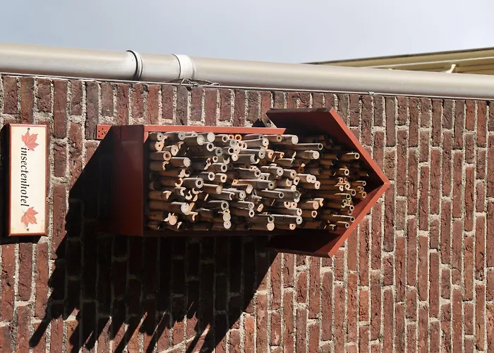 Hotel De Plataan Centrum 3*