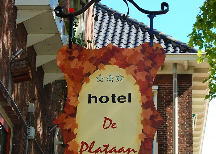 De Plataan Centrum دلفت