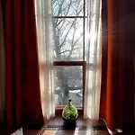 De Plataan Centrum 델프트